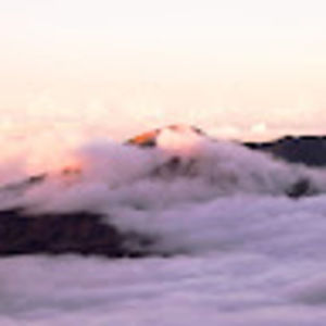 Meet your Posher, Duc an